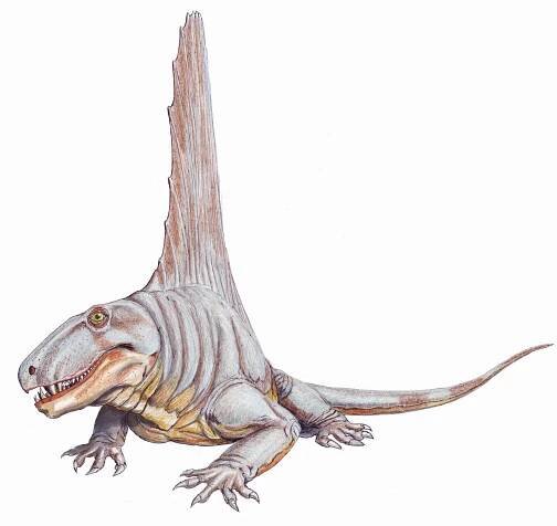 Dimetrodon