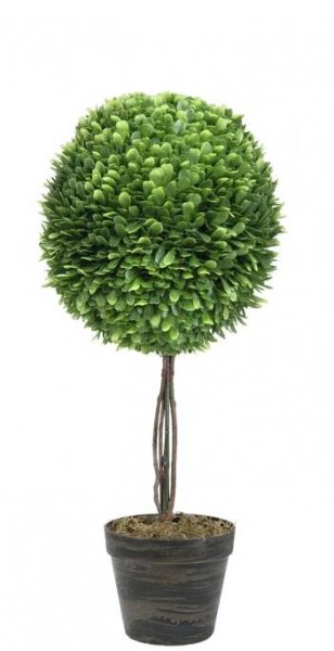 Umělý strom Buxus na kmínku, 60cm