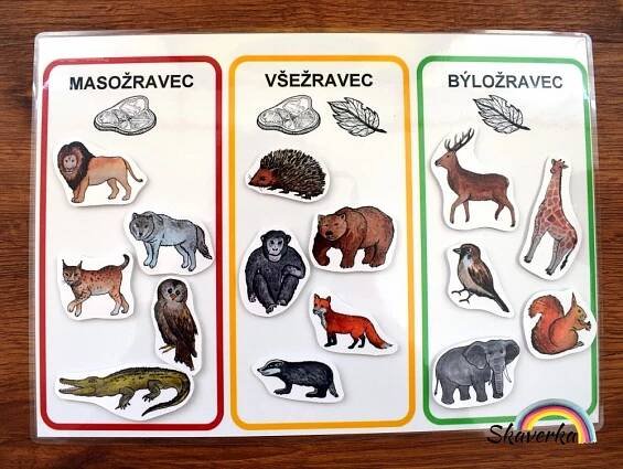 Masožravec, všežravec, býložravec