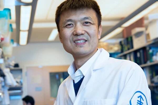 Sloan Kettering Institute Scientists Solve a 100-Year-Old Mystery about Cancer