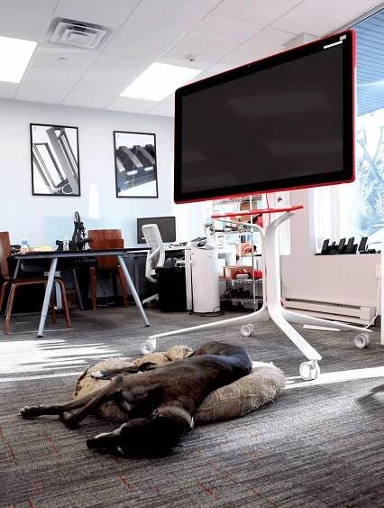 Google Jamboard | Collaborative Digital Whiteboard
