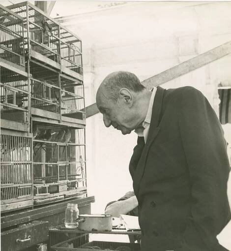 Umberto Saba