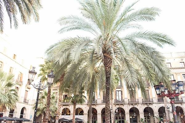 Barcelona - elizabethnord.com
