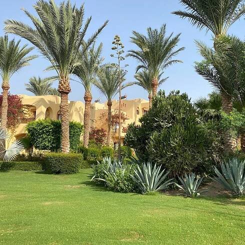 STEIGENBERGER CORAYA BEACH - Updated 2025 Prices & Hotel Reviews (Marsa Alam, Egypt)