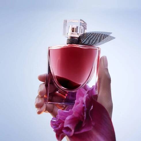LA VIE EST BELLE L'ELIXIR