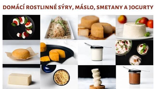 DOMÁCÍ ROSTLINNÉ SÝRY, MÁSLO, JOGURTY A SMETANY