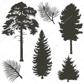 Jehličnaté stromy siluety Stock Vektor od ©Rimmarii 70484661