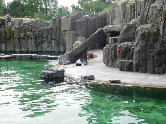 Třeťáci v zoo