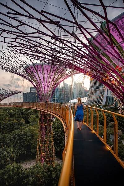Gardens By The Bay - OCBC Skyway