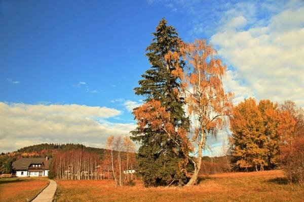 Setkání fotografů na Šumavě 2018 - Oficiální stránky města Horní Bříza