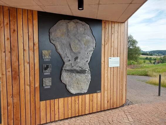 Český ráj má další atrakci. Paleopark v Nové Pace táhne