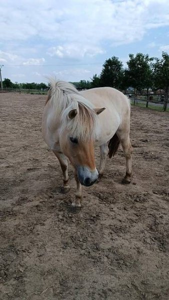 Fotografie - 11.06.2022