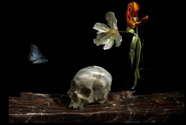 Underwater Still Life with a Skull. From the Series "Vanitas."