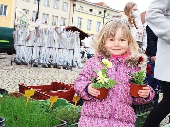 FOTO: Voňavý chléb, klobáska, na zahradu sadba. Trhy se vrátily do Žatce