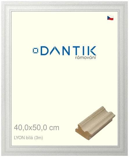 DANTIK rámeček na obraz 40x50