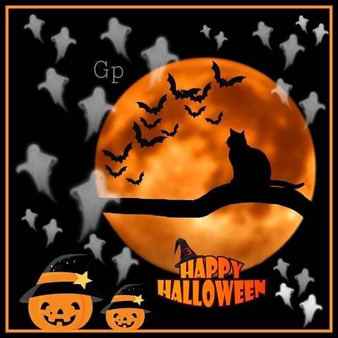 Trick Or Treat, Halloween Pic - Gujarati Pictures – Website Dedicated to Gujarati Community