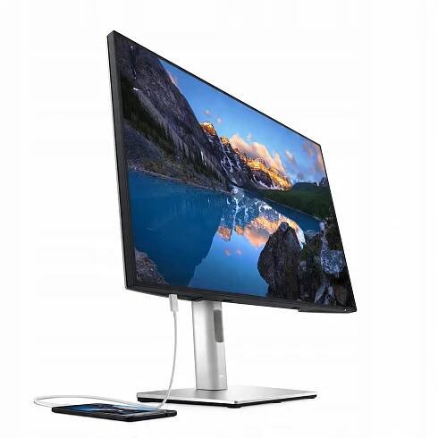DELL U2421E