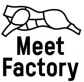 MeetFactory | Logo