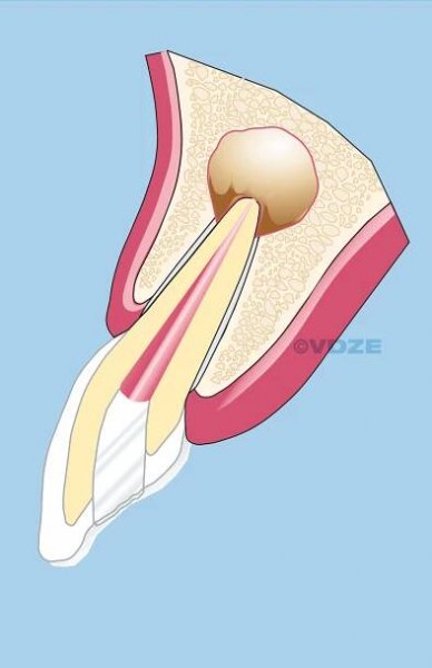 CHIRURGIE_1