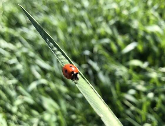 Blog | Agriculture, Label bas-carbone, compensation carbone