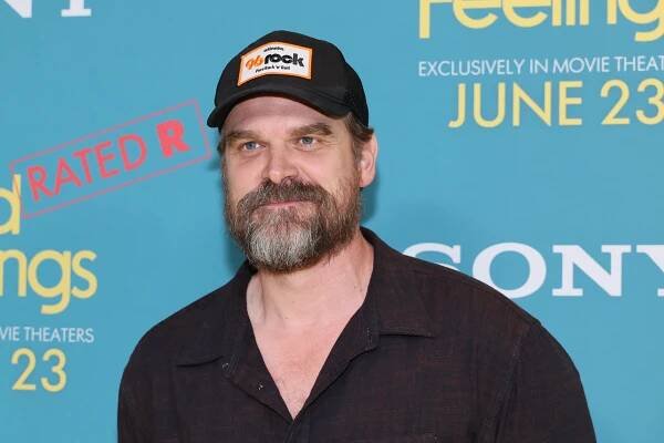 David Harbour Breaks Silence On Lily Allen Split