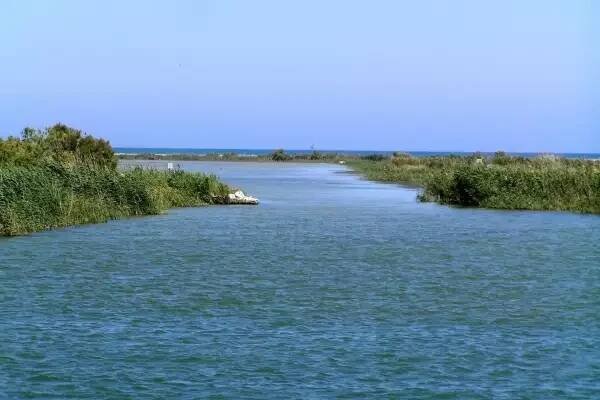 Divoká delta řeky Ebro: Místo, kde každý záběr může znamenat životní úlovek - Top DNE 
