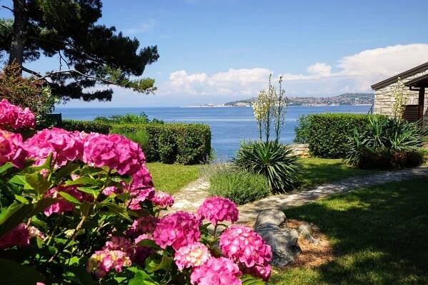 Apartments Villa Ana Monterosso Crveni Vrh