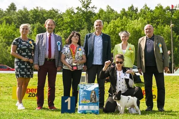 5. Zbraslavská krajská výstava psů 02.06.2024 - VÝSLEDKY soutěží - Moravskoslezský kynologický svaz