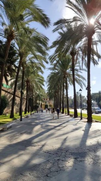 Palma de Mallorca