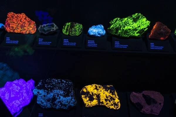 FOTO: Národní muzeum otevřelo velkou expozici věnovanou pravěku