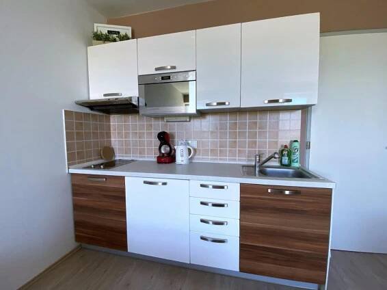 Miky Apartmán Klínovec meadow Loučná pod Klínovcem Exteriér fotografie