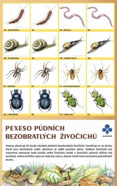 Pexeso půdních bezobratlých živočichů | Rezekvítek
