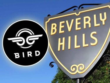 Paraplegic Woman Files Class Action Lawsuit Against Bird Scooters and City of Beverly Hills for Discriminating Against the Disabled