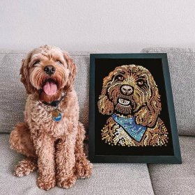 Here is the final design 😲 of our NEW Sequin Art……Cockapoo!  How cute! 😊This new design is part of our Sequin Art Blue range, suitable for 8 years +. As soon as this is available on the Sequin Art website📲, we will let you know on our social media pages!Make sure to tag your Sequin Art makes, as we love seeing them!We hope you all have a great weekend!#sequinart #newsequinart #cockapoo #dog #sparkle #keepthesparklegoing #january2023 #2023ishere #2023 #newyearcrafting #creative #artsandcrafts #hobby #design #newcraft #newproductlaunch