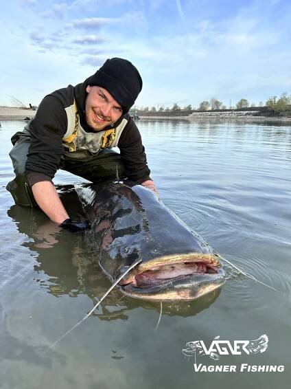 Max catchte einen weiteren Ausnahmefisch in Italien. Die Vagner Rute mit ihrer parabolischen Aktion als Fanggerät ermüdet schonend die größten Welse und nicht die Bandscheiben des Anglers.