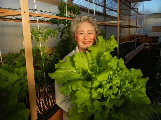 home-grown food Archives - Portable Farms® Aquaponics Systems