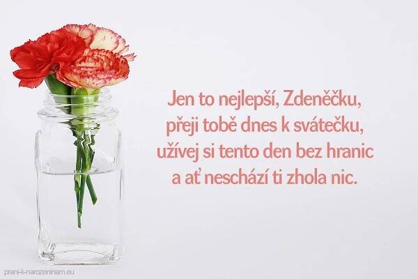 Přání k svátku pro Zdeňka