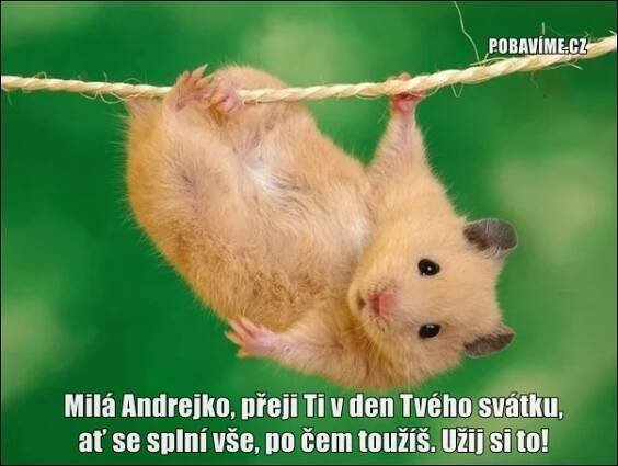 Přání k svátku pro Andreu | Pobavime.cz