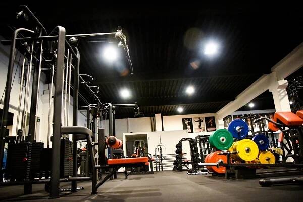Galerie NoFear – No Fear Gym & GNX World