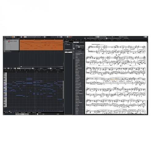 Cubase Elements 14