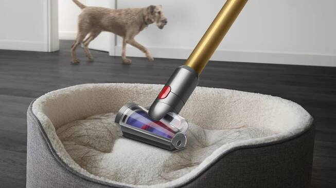 Dyson V12 Detect Slim Absolute 448870-01