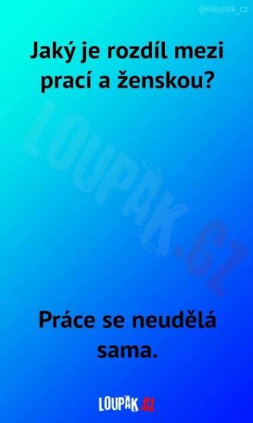 Rozdíl mezi ženami a prací