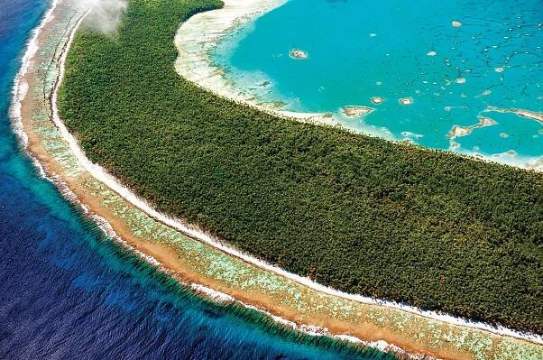 Polynesian Coral Reefs: A treasure worth preserving - Welcome Tahiti