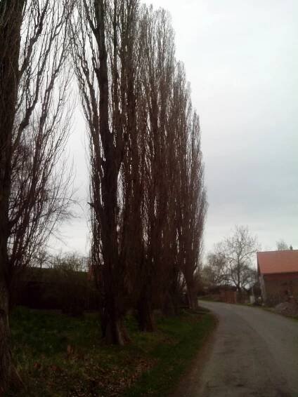Výškové práce
