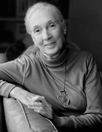 Jane Goodall Reflects on Her Legacy Advocating for Animal Rights