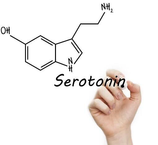 serotonin - serotoninem - stock snímky, obrázky a fotky