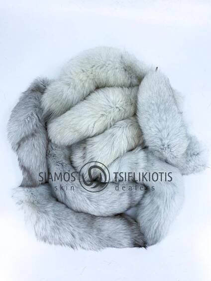 Blue Fox Tails-1