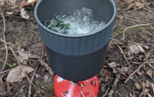 freeze-dried spinach on the MSR PocketRocket 2.
