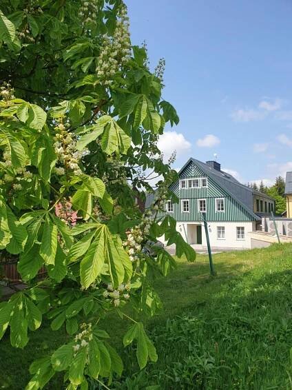 Apartmán Šalet Hrabětice Janov nad Nisou Exteriér fotografie