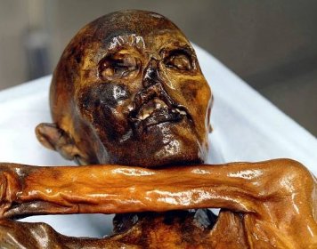 Ilustrační foto - Mumifikované ostatky   pravěkého člověka "Ötziho" jsou nejstaršími na světě. Údajně 5300 let starou mumii nalezli v roce 1991 dva němečtí turisté v alpském ledovci na italsko-rakouské hranici.
Analýza kostí a zubů vede k domněnce, že slavný Ötzi pobýval celý svůj život na místě vzdáleném asi 65 kilometrů od ledovce v italských Jižních Tyrolech, ve kterém byla nalezena jeho mumie. Ötzi byl zahalen bederní rouškou z kozí kůže, navlečený do kožených návleků a kabátu, přes který měl přehozen svrchník sešívaný zvířecími šlachami. Hlavu si chránil čepicí z medvědí kůže a boty si vycpal trávou, aby mu bylo tepleji. Vědci mu odhalili tři zlomená žebra, úplavici, řeznou ránu na ruce a blechy. V zádech měl zapíchnutou špičku pazourku, která patrně způsobila jeho smrt. 